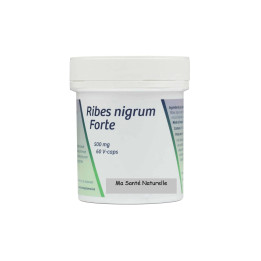 Ribes nigrum forte 500 mg (5:1 extrait feuille) - 60 capsules