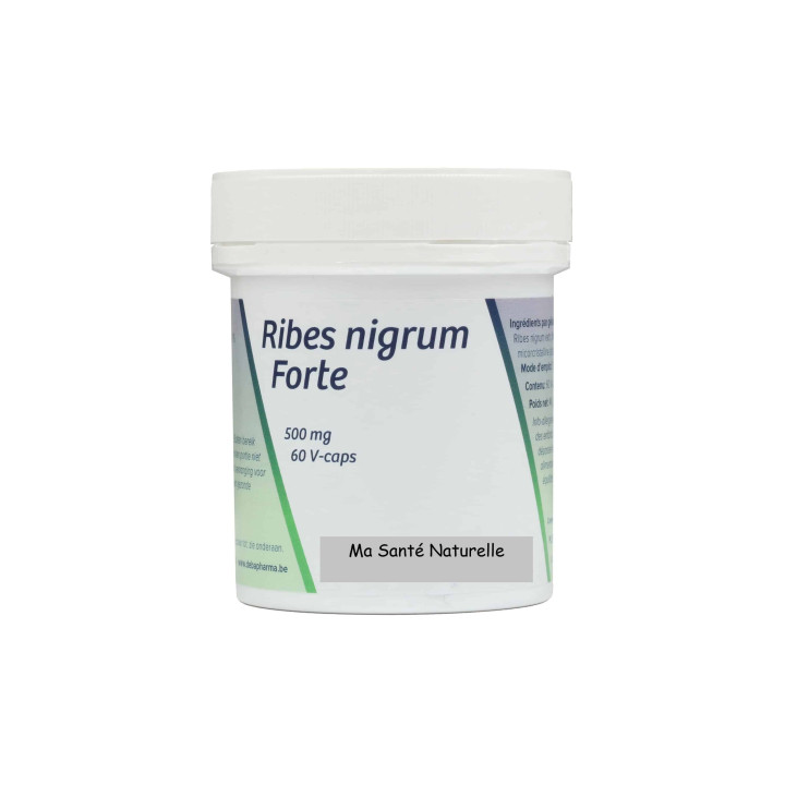 Ribes nigrum forte 500 mg (5:1 extrait feuille) - 60 capsules