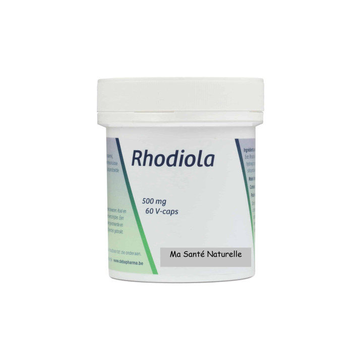 Rhodiola  500 mg - 60 capsules végétales