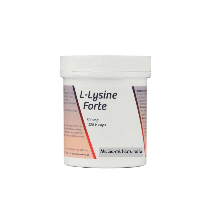 L-LYSINE-FORTE 500 mg - 60 capsules