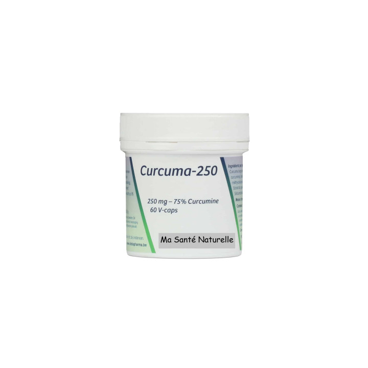 Curcuma