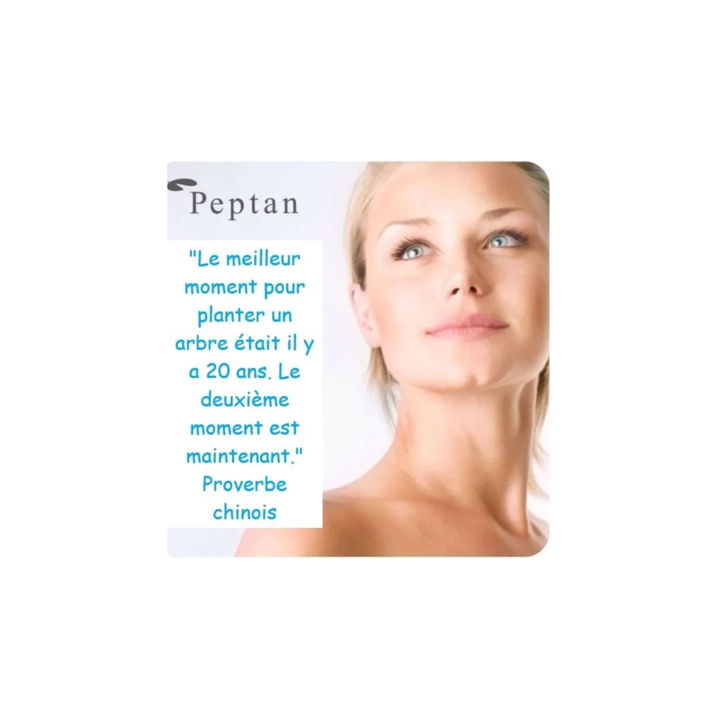 MULTI COLLAGEN Collagène 240 capsules