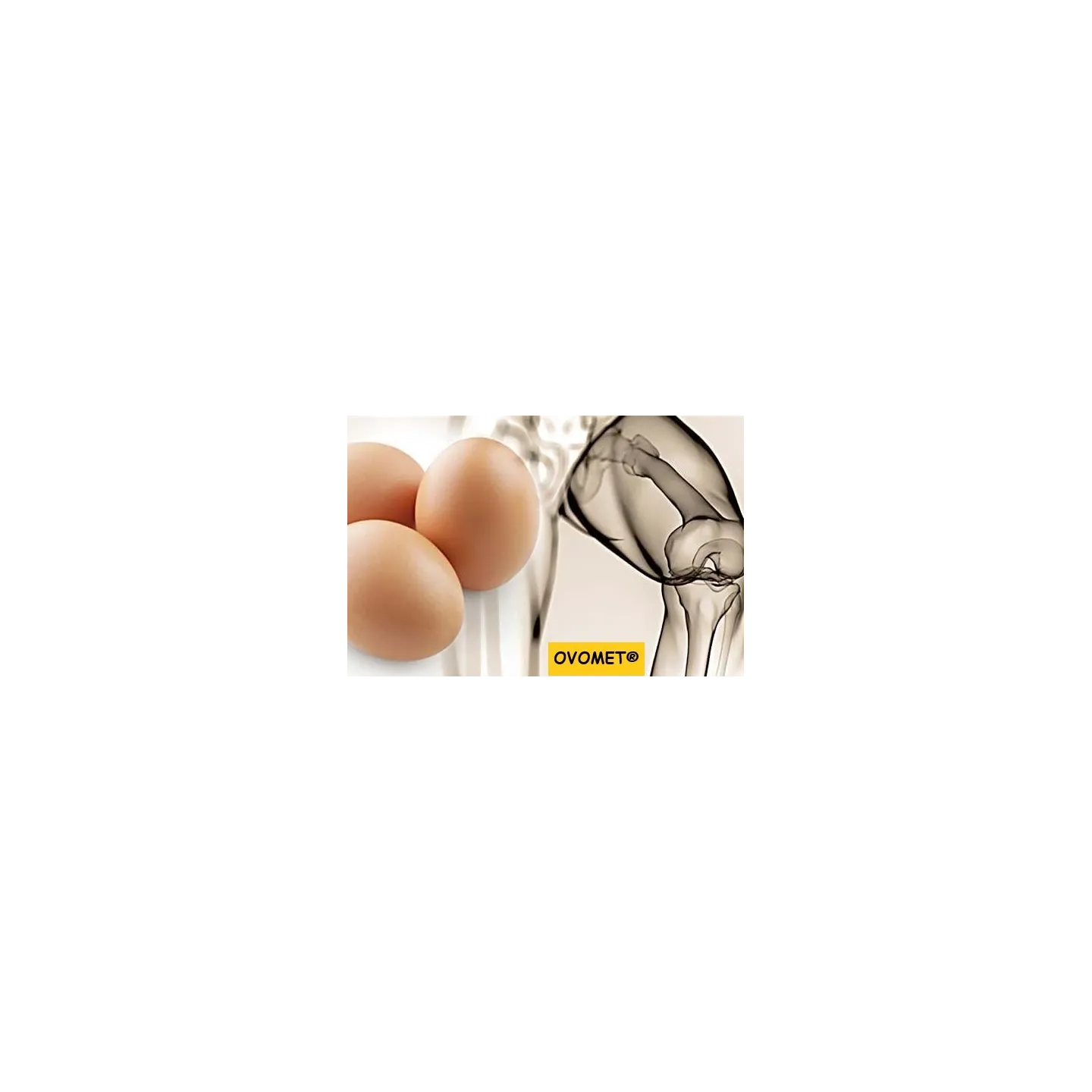 MULTI COLLAGEN Collagène  60 capsules