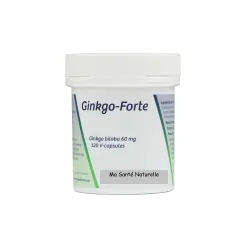 GINKGO BILOBA forte 60 mg 120 capsules végétales