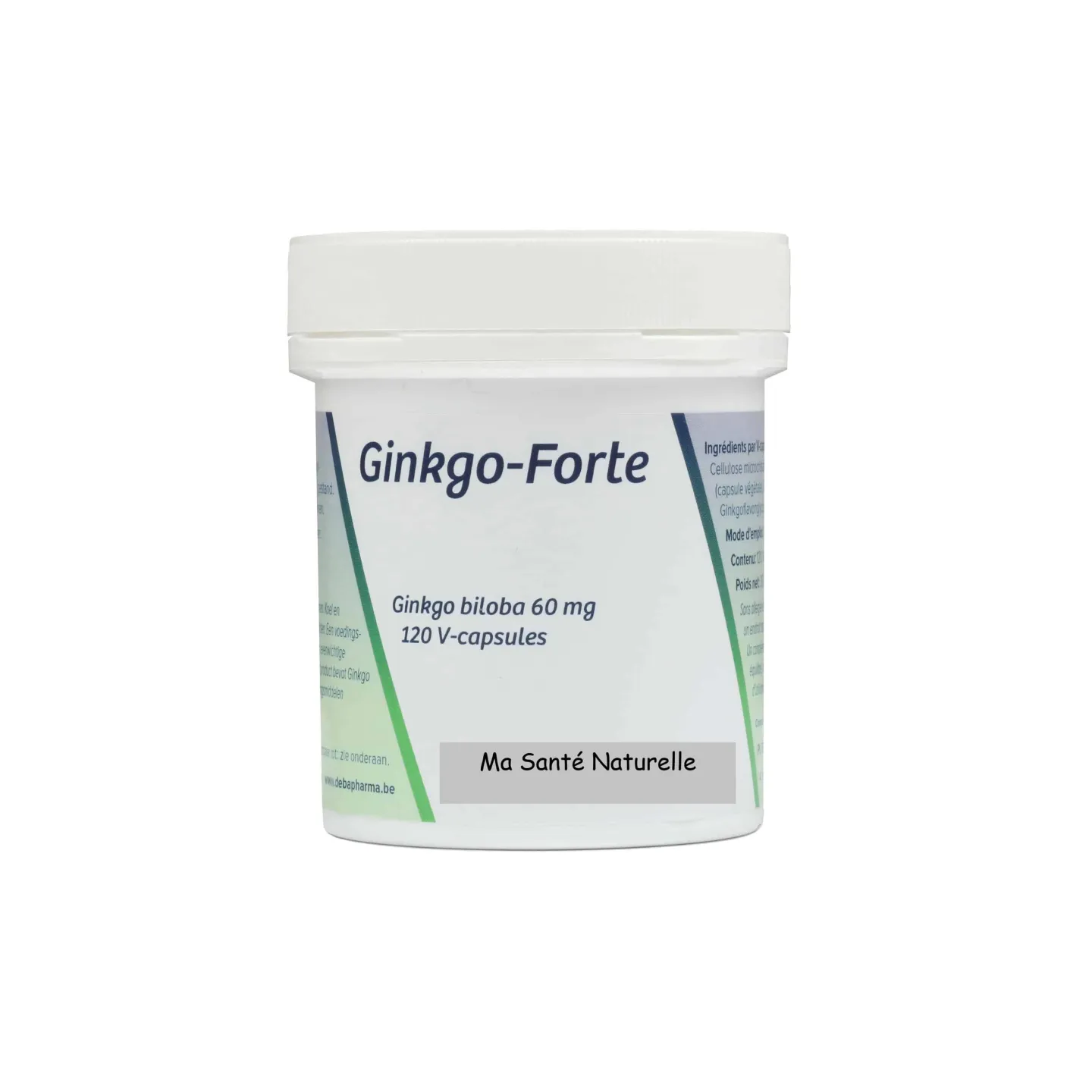 GINKGO BILOBA forte 60 mg 120 capsules végétales